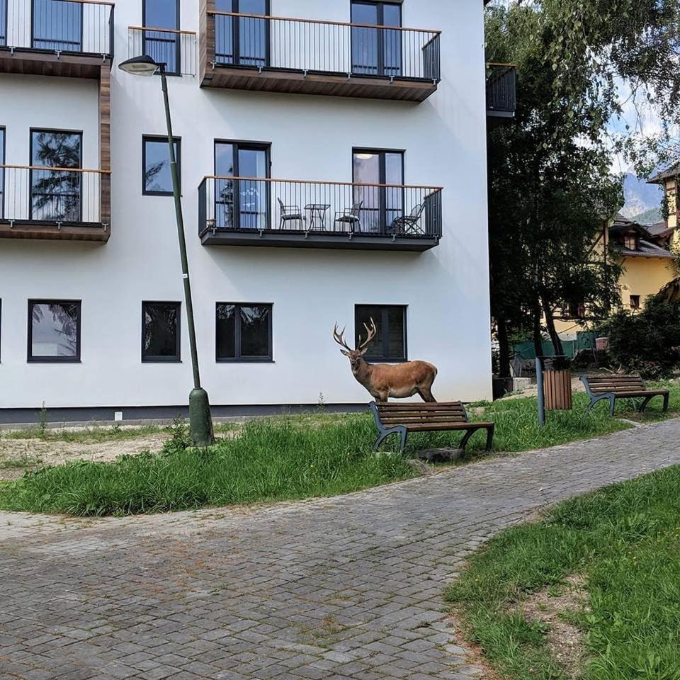 Apartmán Hory - V srdci Tatier Vysoké Tatry Esterno foto