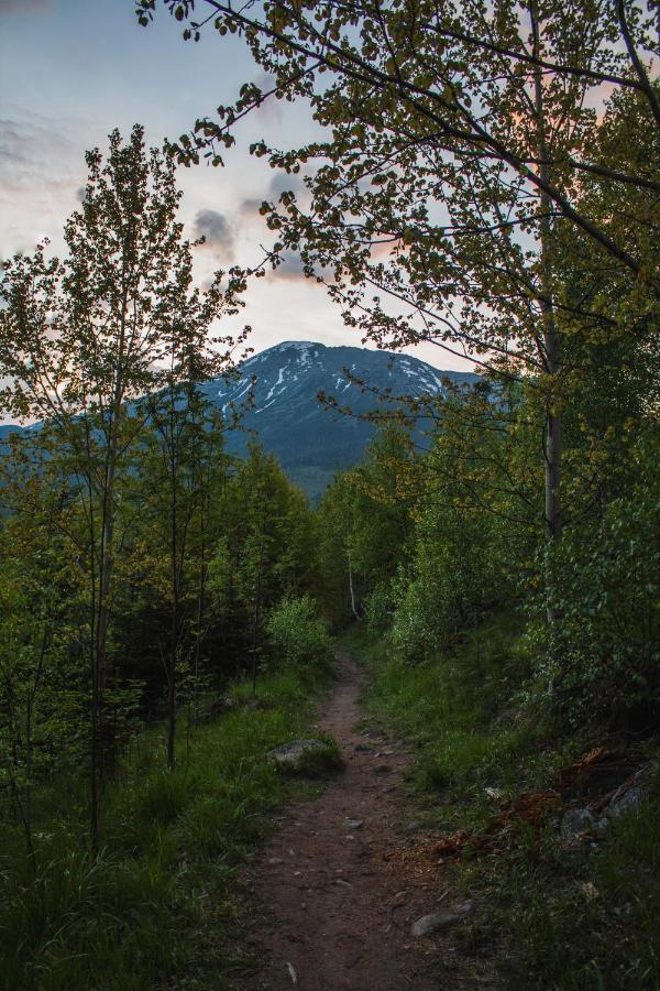 Apartmán Hory - V srdci Tatier Vysoké Tatry Esterno foto